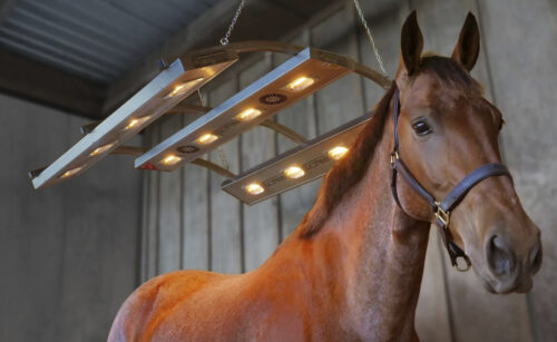 Solarium DRIMEE SIROCCO
