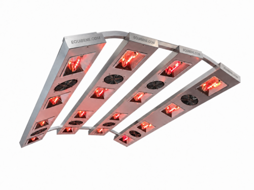 S16 light Equibene branded Solarium dla koni S16 EQUIBENE