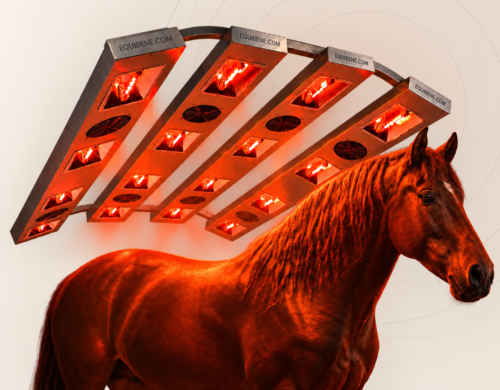 s16-1 Solarium dla koni S16 EQUIBENE
